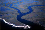 Go to the About Wetlands page
