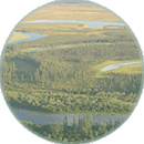Jurisdiction Section - click to go to Jurisdiction Section